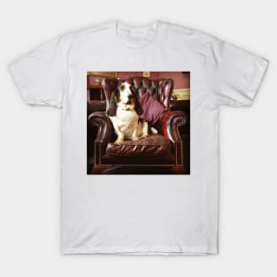 Bertie the Basset T-Shirt